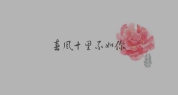 断绝尘缘是什么意思，笑不解尘缘是什么意思