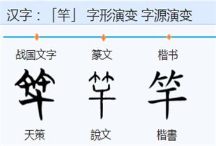 竹组词 竹组什么词
