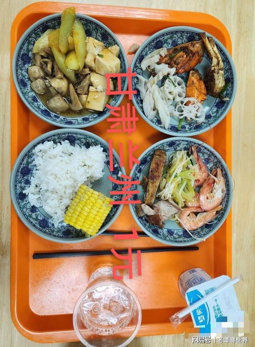 伙食是什么意思 词语，膳食是什么意思