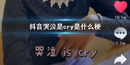 网络上cry是什么意思?