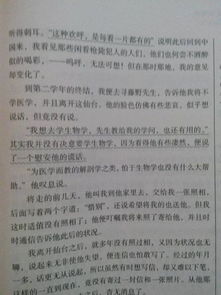 美文摘抄500字