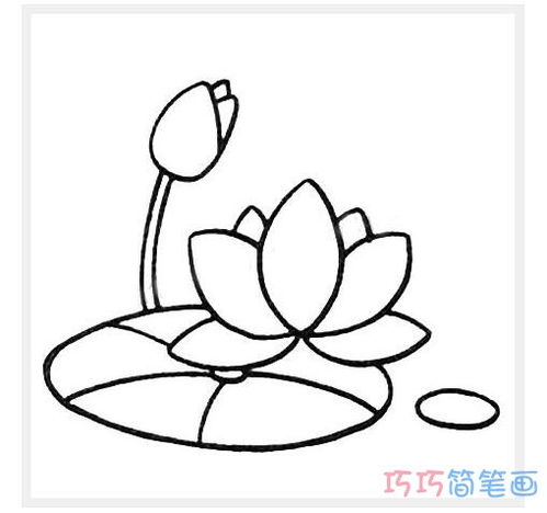 荷花简笔画图片带颜色，幼儿园荷花简笔画图片
