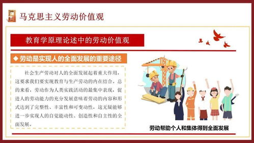 在新时代如何有效开展大学生劳动教育