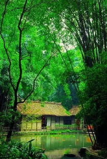 归隐什么意思