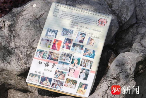 红楼梦前五章读后感