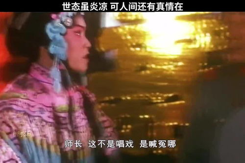 人间自有真情在,宜将寸心报春晖，人间自有真情在作文500字