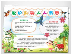 关于鸟的手抄报图片，关于鸟的手抄报怎么画