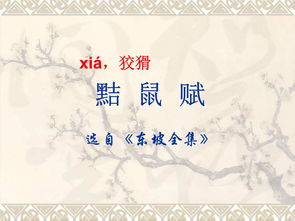 黠鼠赋原文及注音版，黠鼠赋朗读视频讲解