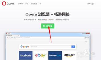 opera house是什么意思，peking opera是什么意思