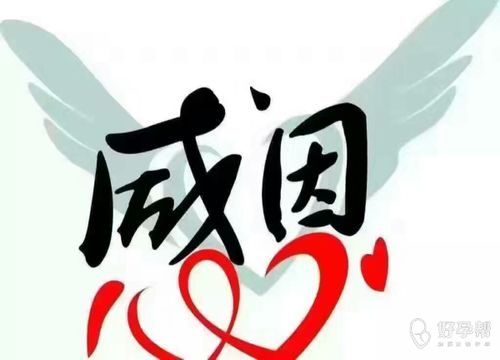 您们这个词用法正确吗，您们有这个词吗