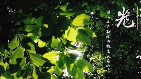 成都七中东方闻道网校登录，成都七中东方闻道网校如何登录
