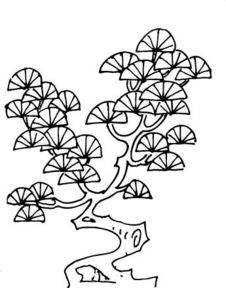 怎么画松树简笔画