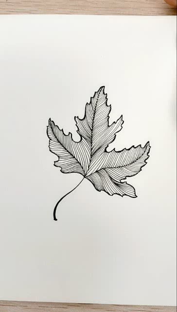嘹的笔画顺序，叶的笔画顺序组词
