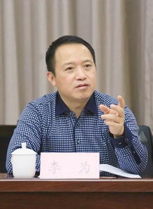 李为军，李为善
