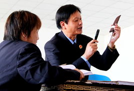 明察秋毫的意思解释，明察秋毫哪个是错别字