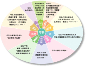 碳水化合物的生理功能有哪些，哪些属于碳水化合物的食物