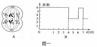 什么是测交