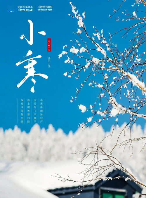 光阴似箭是什么意思