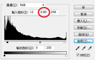 验血报告gamma是什么意思，GAMMA是什么意思?
