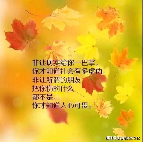 围绕温暖的阳光造句五十字左右?