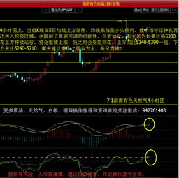 为什么中国的社会金钱是在第一位的