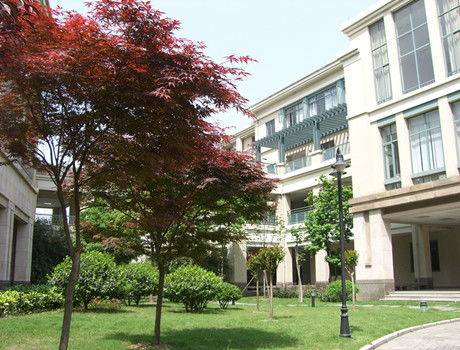 绿城育华学校官网首页，浙江绿城育华学校