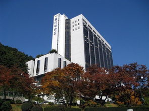 日本东亚大学就业率怎么样?