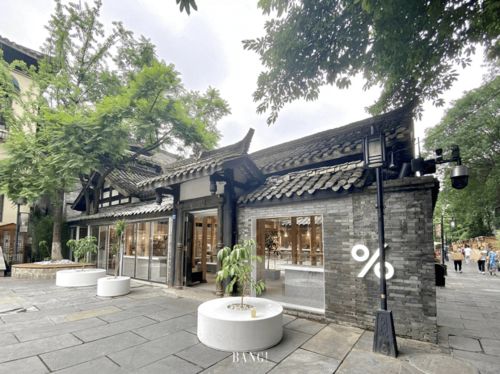 文豪野犬兰堂为什么死