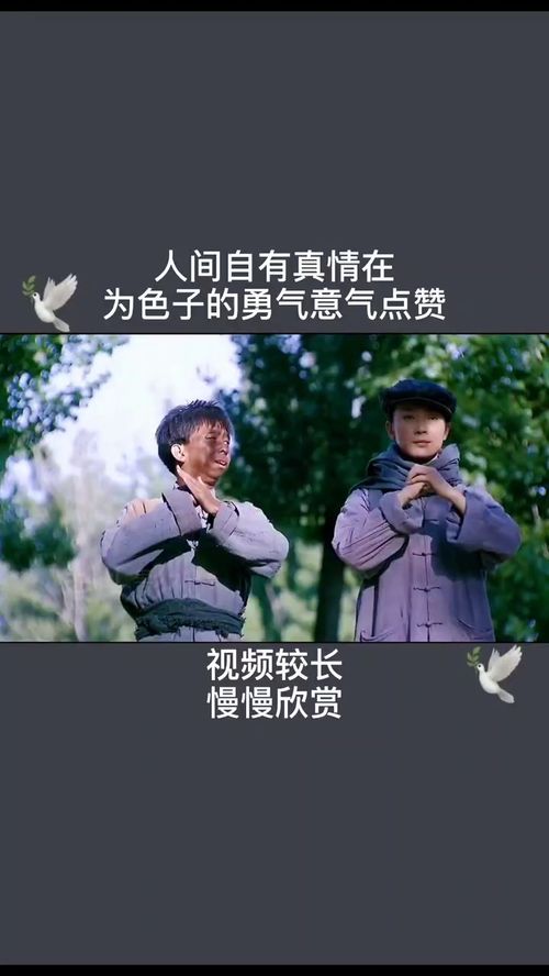 “人间自有真情在”是什么意思?