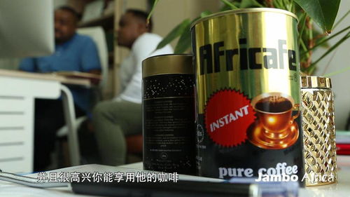 africa怎么念