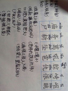 雹的拼音组词