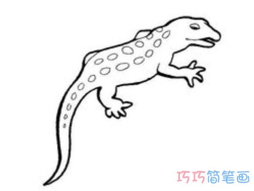 简笔画蜥蜴画法步骤