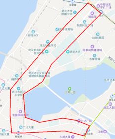 武昌新消息，武昌区疫情通报