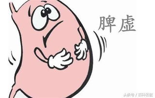 虚弱的意思解释是什么，虚弱的意思是什么意思,新华字典