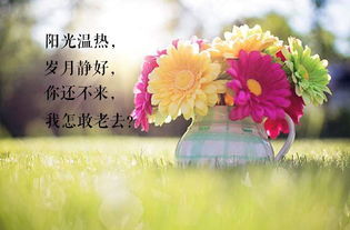 汉字“暖”是什么意思暖字有多少笔画