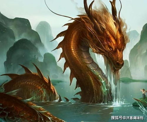 梦见化龙救灾的预兆