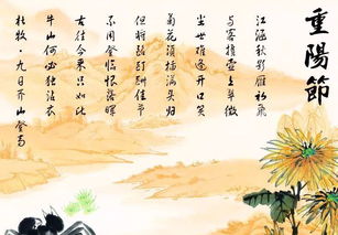 有关重阳节的诗句古诗一年级，有关重阳节的诗句古诗三年级