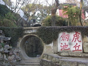 虎丘剑底有些什么东西?