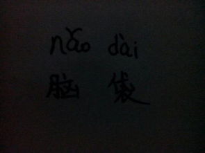 脑袋的拼音怎么读音，挑着一颗大大的脑袋的拼音