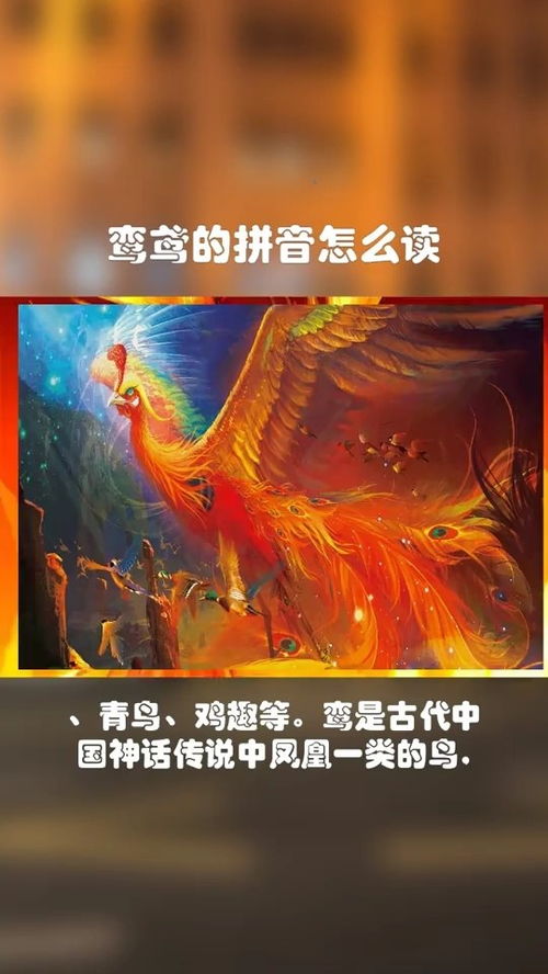 銮的拼音，鸾鸟的拼音