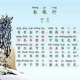 古诗长歌行朗诵带拼音