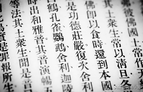 你字四字成语大全