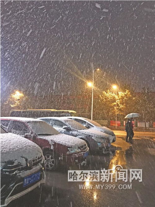 冰冷雨天 浩瀚大洋，冰冷雨天 革新官僚