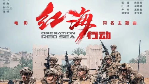 红海行动观后感600字左右，红海行动观后感600字以上