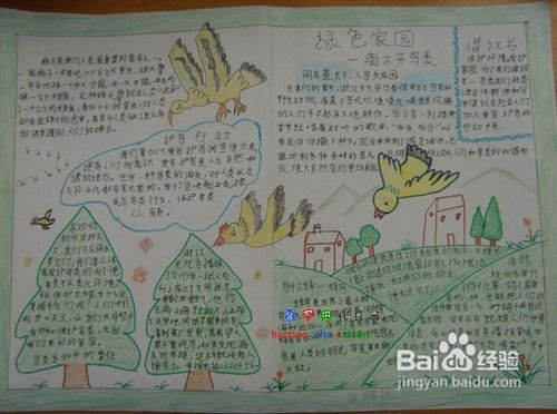 爱鸟周的手抄报设计简单又漂亮