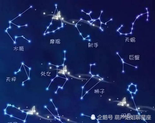 8月1号是什么星座，农历8月3号是什么星座