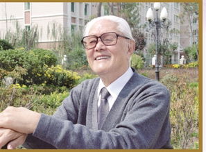 乒乓球李少波水平怎么样
