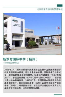 扬州新东方国际高中接受插班吗