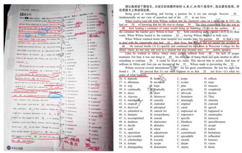 江苏高考488分能上什么大学