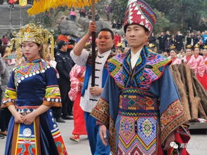 出巡犯跸什么意思，新还珠格格第几集微服出巡